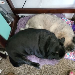 Welcome to Steampug Secondhand and Vintage